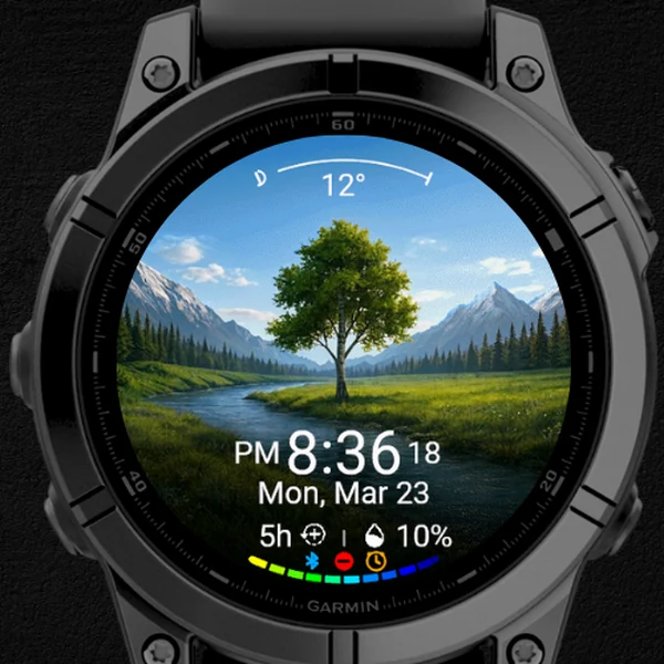 The Birch Tree watch face